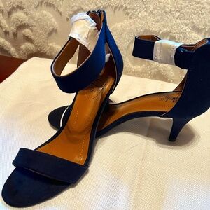 Style & company from Macy's